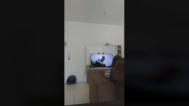 japabrasil1  12-04-2023